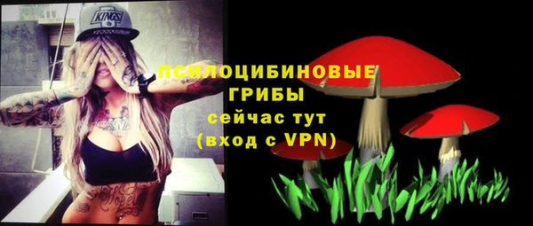 твердый Бородино