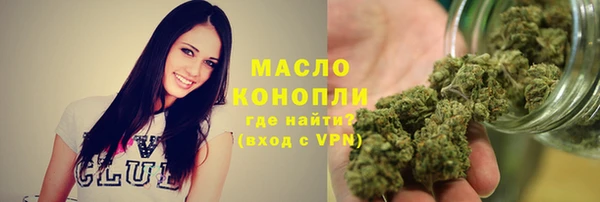 твердый Бородино