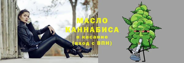 твердый Бородино