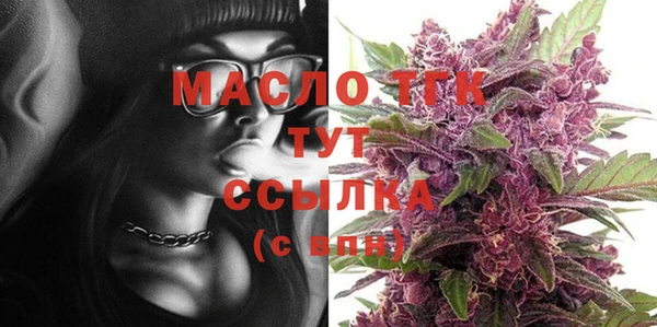 твердый Бородино