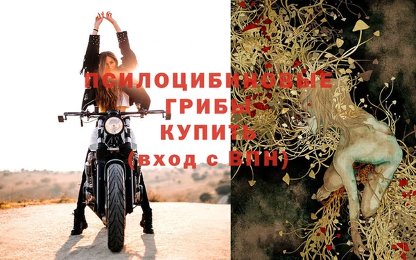 твердый Бородино