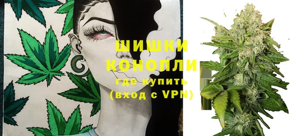 твердый Бородино