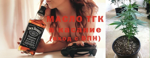 твердый Бородино