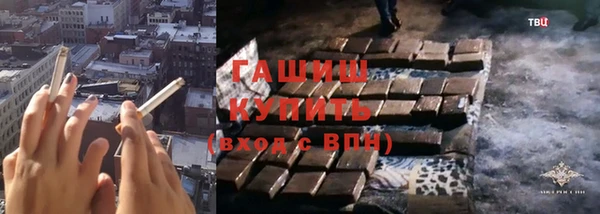 твердый Бородино