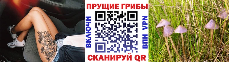 Галлюциногенные грибы Magic Shrooms  Мышкин 